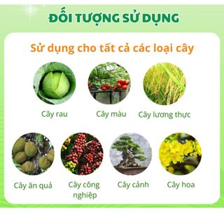 Phân Bón Sinh Học Bio36 Siêu Kích Rễ - Siêu Đi Đọt – Xanh Cây – Dày Lá – Cải Tạo Đất Bio36 Chính Hãng