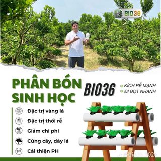 Phân Bón Sinh Học Bio36 Siêu Kích Rễ - Siêu Đi Đọt – Xanh Cây – Dày Lá – Cải Tạo Đất Bio36 Chính Hãng