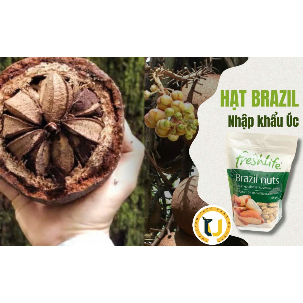 (HÀNG ÚC) Hạt BRAZIL NUTS cung cấp magie & selenium của FRESH LIFE gói 850GR