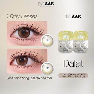 Lens 1 ngày cận DABAE kính áp tròng màu mắt nâu tự nhiên dưỡng ẩm DIA 14mm có độ 0-8 DALAT