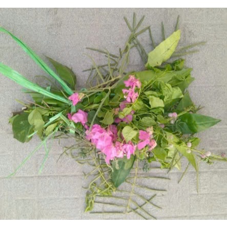 9 loại gai tươi 9 thứ gai tươi dành cho chị em - giao hoả tốc