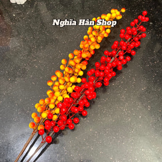 Set 5 cành đào đông 12 nhánh quả to bóng