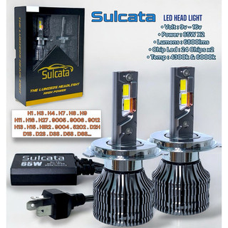 ĐÈN LED Ô TÔ Hiệu Sulcata / Edison