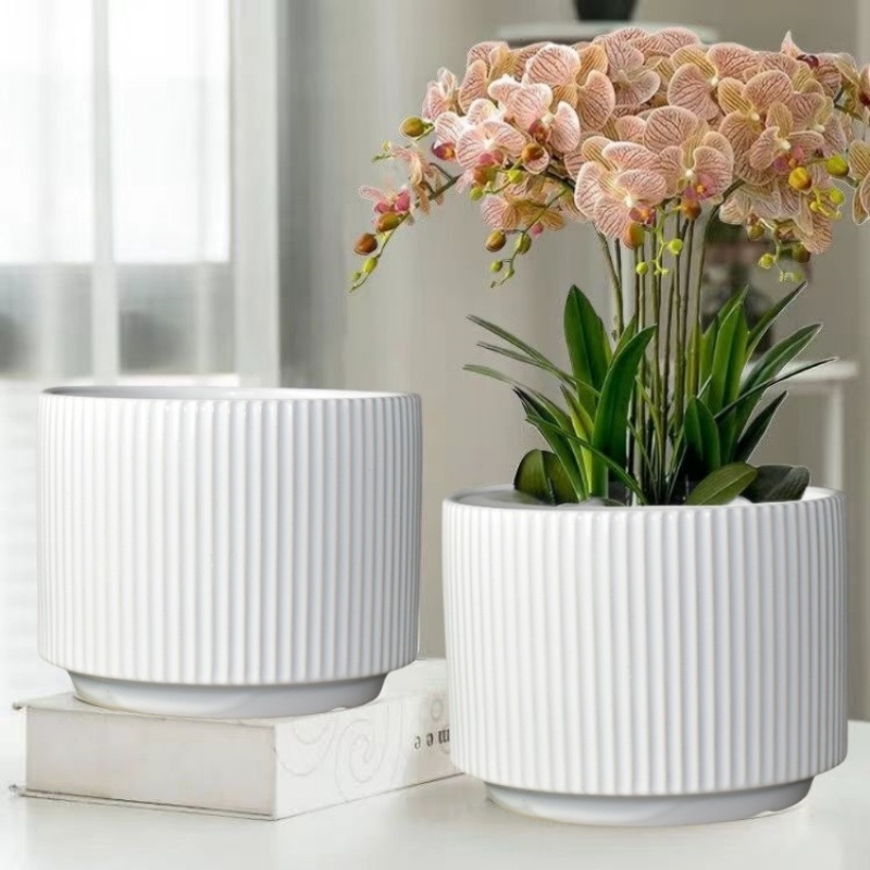Chậu sứ trồng lan, chậu sứ dáng Trụ tròn, chậu trồng cây to đẹp phong cách Bắc Âu phù hợp trồng cây 
