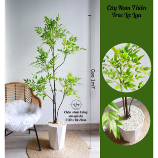 Cây giả, Nam Thiên Trúc Lá Lụa cao cấp trang trí nhà cửa