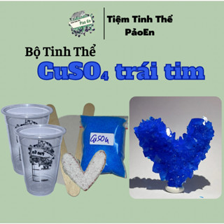 [TRÁI TIM CuSO4] Bộ dụng cụ nuôi tinh thể ( có giấy hướng dẫn )