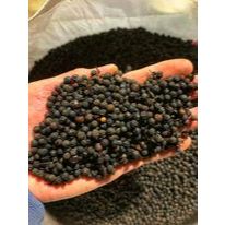 5 kg Tiêu rừng tây nguyên KHÔNG cay mùi chanh xả tự nhiên