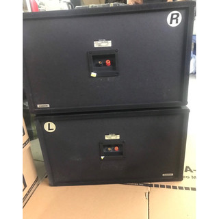 Loa BMB 850 bass25 từ kép hàng loại 1