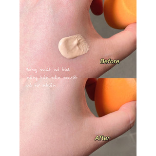 Bông mút trang điểm Real Techniques Sponge