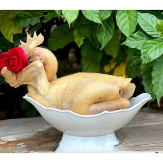 Bát gà bát để gà lễ bát bày gà cúng đĩa gà