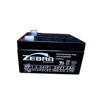 Ắc Quy 24V Vuông Zebra NP1.2-24(F) 24V-1.2AH