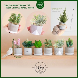 Chậu cây giả để bàn mini kèm chậu xinh xắn