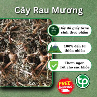 [Hàng Công Ty] Cây Rau Mương Khô 500g - Hỗ trợ bệnh dạ dày, Diệt khuẩn HP, Giảm trào ngược, Làm lành các vết loét