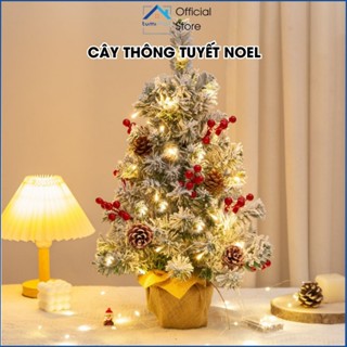 Cây Thông Noel Để Bàn Size 30/40/60cm Tặng Kèm Phụ Kiện + Đèn Nháy, Cây Thông Giáng Sinh Để Bàn Trang Trí