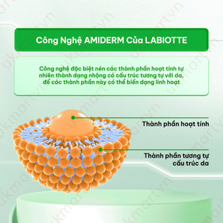 Mặt Nạ Dưỡng Da Labiotte Hàn Quốc 25ml