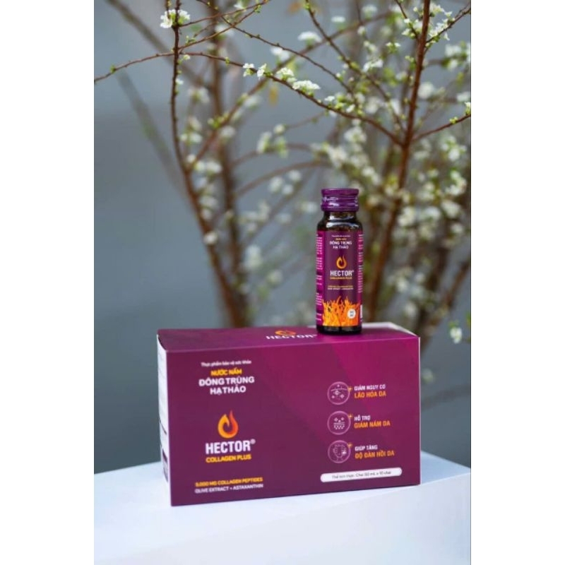 Nước đông trùng hạ thảo Hector Collagen Plus (hộp 10 chai × 50ml)