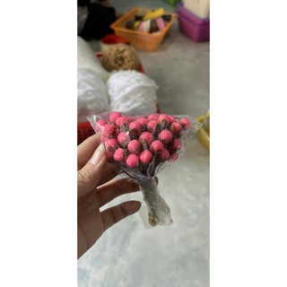 Nụ hoa mai/ đào