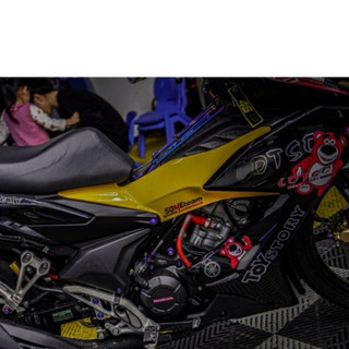 tem gấu dâu winner x