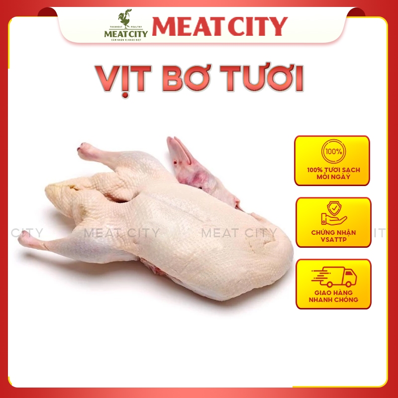 Vịt bơ tươi MeatCity - FRESH Peking Duck, vịt bơ bắc kinh nguyên con làm sạch 2.5-3kg [Giao hoả tốc 