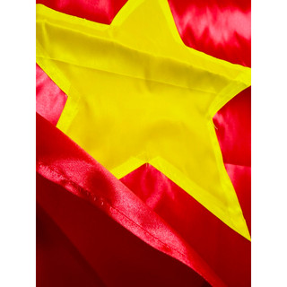 Cờ lá Tổ quốc, Đảng (chất lượng cao)