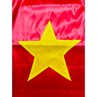 Cờ lá Tổ quốc, Đảng (chất lượng cao)