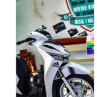 tem rời adias sh 2020