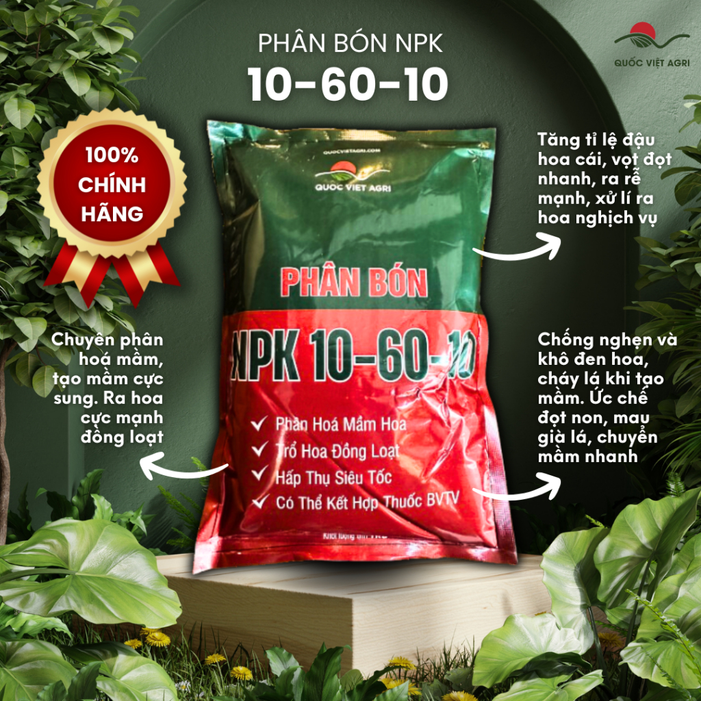 Phân bón lá NPK SIÊU LÂN 10-60-10+TE QVA (gói 1KG) - Tạo mầm hoa cực mạnh