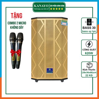 Loa Kéo Karaoke KANAYO P650 Công Suất Lớn 620W | Điện Máy Đại Phát Vĩnh Lộc | Tặng Kèm Cặp Micro