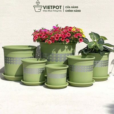 Chậu nhựa trồng cây VIETPOT, xanh Mint hoa văn tim, kiểng lá, hoa hồng, để bàn,ban công sân vườn.