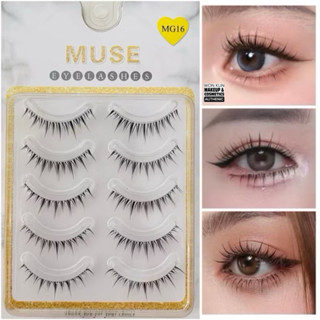 Lông mi giả, Mi gân trong [ MUSE MG16 ] 5 cặp kiểu dáng MG16 MUSE