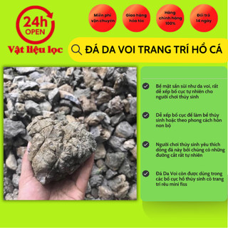 Đá Da Voi trang trí hồ cá