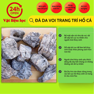 Đá Da Voi trang trí hồ cá