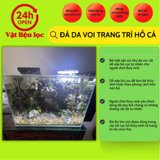 Đá Da Voi trang trí hồ cá