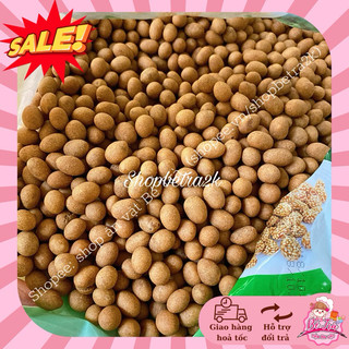 [500gr] Đậu phộng da cá nước cốt dừa, đậu phộng Nutty One
