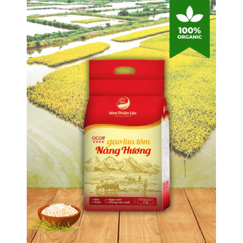 Gạo Nàng Hương Lúa Tôm Túi 5kg