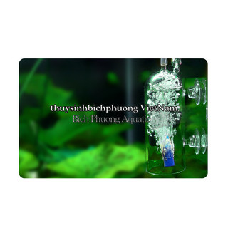 CỐC SỦI OXY / OXY CHỐNG VĂNG - GIÚP HÒA TAN OXY HIỆU QUẢ VÀ CHỐNG VĂNG NƯỚC LÊN ĐÈN, SÀN NHÀ