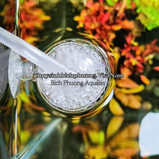 CỐC SỦI OXY / OXY CHỐNG VĂNG - GIÚP HÒA TAN OXY HIỆU QUẢ VÀ CHỐNG VĂNG NƯỚC LÊN ĐÈN, SÀN NHÀ