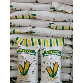 [SỈ] 10KG BẮP RANG BƠ / BẮP NỔ BỎNG/ NGÔ NỔ BỎNG/ Hạt ngô mỹ làm bắp rang bơ _ bắp rang bơ gía sỉ  nongsangiasi