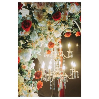Đèn Chùm Thả Trần Pha Lê Cao Cấp Trang Trí Studio, Ảnh Viện Áo Cưới, Phòng Khách Gia Đình, Tiệc Cưới