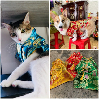 Áo dài Tết cách Tân truyền thống vải gấm dành cho chó mèo siêu xinh