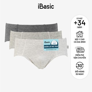 Pack 3 quần lót tam giác cho bé trai iBasic cotton USA 4-12 tuổi PANB029-PA3
