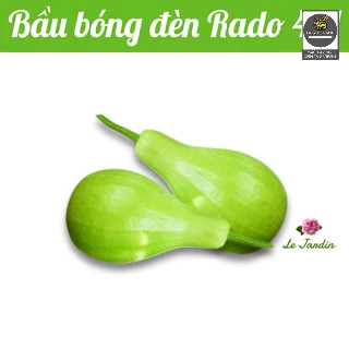 Hạt giống Bầu bóng đèn - Shop hạt giống Tạ Gia Trang