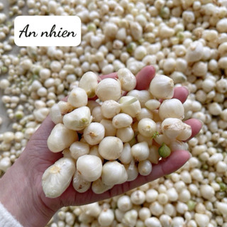 [ vụ mới già 90%] Hành tăm,Củ nén nhà làm - hành tăm nhà trồng - hành tăm quê Nghệ An