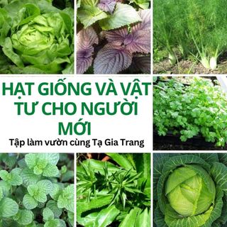  Hạt giống và vật tư nông nghiệp cho người mới tập làm vườn 