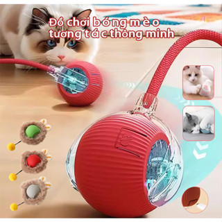 Đồ chơi thú cưng thông minh Đồ chơi cho mèo có thể sạc lạiĐồ  Quả bóng tự động tránh chướng ngại vật