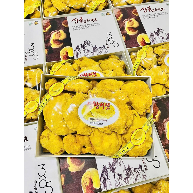[HÀNG MỚI VỀ] Nấm Thượng Hoàng Hàn Quốc 500gr [HỘP QUÀ BIẾU SANG TRỌNG]