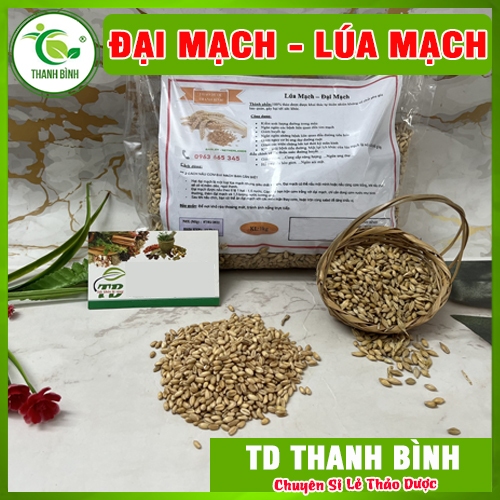 Đại Mạch (Lúa Mạch) 100g - Loại Đặc Biệt Chất Lượng