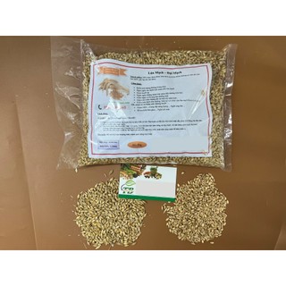 Đại Mạch (Lúa Mạch) 100g - Loại Đặc Biệt Chất Lượng