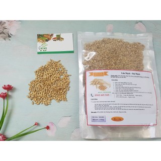 Đại Mạch (Lúa Mạch) 100g - Loại Đặc Biệt Chất Lượng