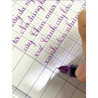 Bút Leta 386 (ngòi lá tre thanh đậm)